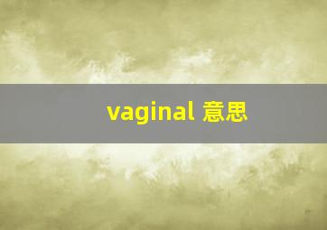 vaginal 意思